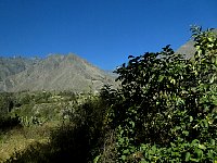 Scenery from Machu Picchu train