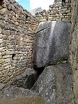 Viscacha in Machu Picchu