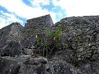 Machu Picchu residential area