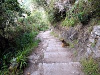 Machu Picchu trail guardian