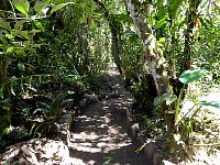 Machu Picchu botanic gardens
