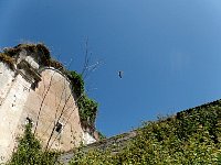 Convent ruin with stork