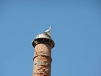 Chimney with stork nest