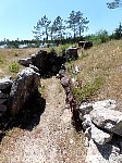 Dolmen das Carnicosas 