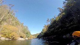 Egret over river