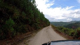 A street with a drop