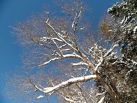 Jacques-Cartier National Park