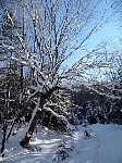 Jacques-Cartier National Park