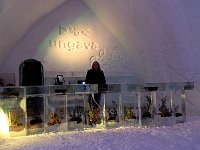 Ice hotel bar and me