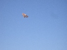 Bi-plane in Romania