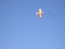 Bi-plane in Romania