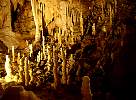 Stalactites in Bear Cave