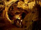 Formations in Bear Cave