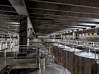 Wine production on an industrial scale