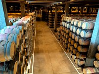Thousands of wine barrels
