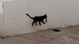 Cat graffiti in Alarcon