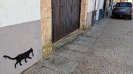 Cat graffiti in Alarcon