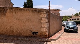 Cat graffiti in Alarcon