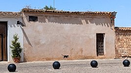 Cat graffiti in Alarcon