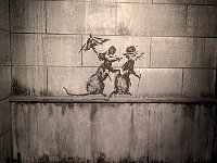 Rats at Banksy museum in Madrid