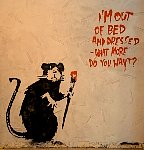 Rats at Banksy museum in Madrid