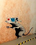 Rats at Banksy museum in Madrid
