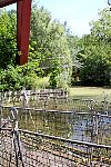 Spreepark wooden walkways