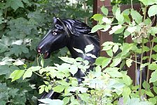 Spreepark Horse Ride