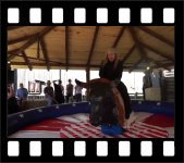 Riding the mechanical bull