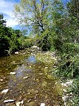 Shoal Creek in Pease Park