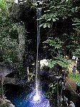 Dallas aquarium waterfall