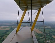 Tiger Moth