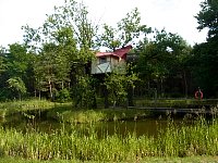 Island Tree House