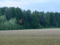 Tree houseS