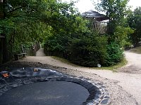 Trampoline and in park tree bed