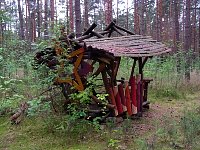 Derelict wood structures