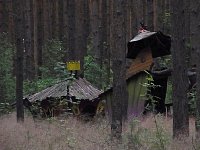 Derelict wood structures