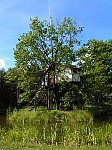 Island Tree House