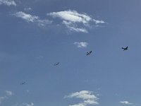 Tiger Moths in formation flight