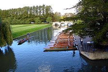 Punting on the Cam