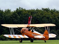 Second wing walker of the day