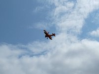 Wingwalking with partially blue skies