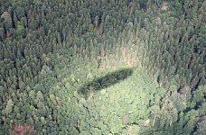 Zeppelin shadow over forest