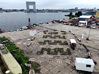 Communal garden in Amsterdam-Noord