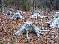 Lithuanian stone sculpture