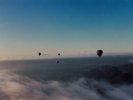 Other balloons in early morning light