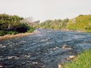 Newfoundland River