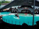 Marineland near Niagara Falls