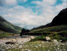 Valley with sheep