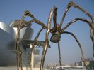 Guggenheim Museum Detail